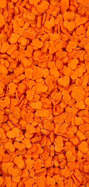 T-G03019 PUMPKIN